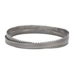 Lenox - 2 to 3 TPI, 12' 6" Long x 1-1/4" Wide x 0.042" Thick, Welded Band Saw Blade - Bi-Metal, Toothed Edge, Raker Tooth Set, Flexible Back, Contour Cutting - Eagle Tool & Supply