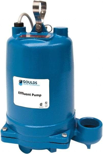 Goulds Pumps - 3/4 hp, 208 VAC Amp Rating, 208 VAC Volts, Single Speed Continuous Duty Operation, Effluent Pump - 1 Phase, Cast Iron Housing - Eagle Tool & Supply