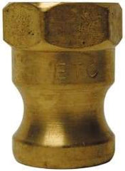 EVER-TITE Coupling Products - 1-1/4" Brass Cam & Groove Suction & Discharge Hose Male Adapter Female NPT Thread - Part A, 1-1/4" Thread, 350 Max psi - Eagle Tool & Supply