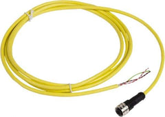 Telemecanique Sensors - 4 Amp, 1/2-20 UNF 3 Pin Female Straight Cordset Sensor and Receptacle - 250 VAC, 300 VDC, 2m Cable Length, IP67 Ingress Rating - Eagle Tool & Supply