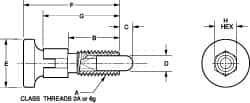 Vlier - 1/2-13, 0.31" Max Plunger Diam, 0.5 Lb Init to 1.75 Lb Final End Force, Knob Handle Plunger - Delrin Knob, 1-1/4" Body Length, 1" Length Under Head/Shoulder, 1/4" Plunger Projection - Eagle Tool & Supply