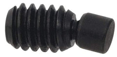 Gibraltar - 1/4-20, 3/4" OAL, Alloy Steel, Swivel Pad - Delrin Pad, Black Oxide Finish, 0.185" Pad Diam, 19/32" Thread Length, 7.5° Swivel Angle, 1/8" Hex Key - Eagle Tool & Supply