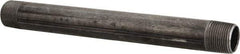 B&K Mueller - Schedule 40, 3/4" Diam x 9" Long Steel Black Pipe Nipple - Threaded - Eagle Tool & Supply