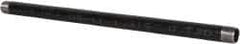 B&K Mueller - Schedule 40, 1" Diam x 24" Long Steel Black Pipe Nipple - Threaded - Eagle Tool & Supply