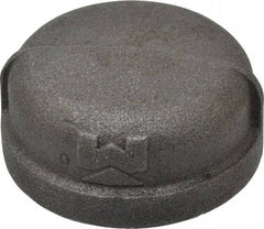 B&K Mueller - Size 2", Class 150, Malleable Iron Black Pipe End Cap - 150 psi, Threaded End Connection - Eagle Tool & Supply