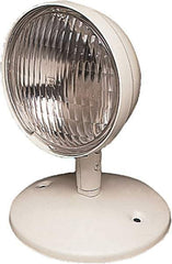 Mule - 1 Head, 6 VDC, Polycarbonate, Incandescent Remote Emergency Lighting Head - 25 Watt, Battery Not Included - Eagle Tool & Supply