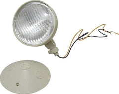 Mule - 1 Head, 12 VDC, Polycarbonate, Incandescent Remote Emergency Lighting Head - 25 Watt, Battery Not Included - Eagle Tool & Supply