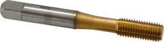 Accupro - 5/16-24 UNF H5 Thread Limit Bottoming Thread Forming Tap - Powdered Metal High Speed Steel, TiN Finish, 2-23/32" OAL - Eagle Tool & Supply