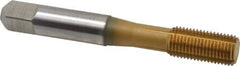 Accupro - 3/8-24 UNF H5 Thread Limit Bottoming Thread Forming Tap - Powdered Metal High Speed Steel, TiN Finish, 2-15/16" OAL - Eagle Tool & Supply