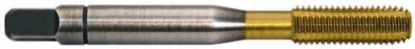 Balax - #10-24 UNC 2B H5 Thread Limit Bottoming Thread Forming Tap - Powdered Metal High Speed Steel, TiN Finish, 2-3/8" OAL, 0.6" Thread Length, Right Hand Thread, Series BXSTAINLESS - Eagle Tool & Supply