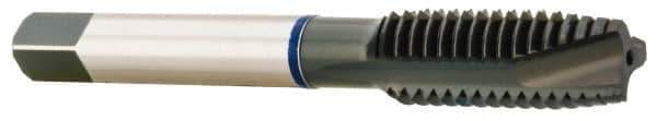 Accupro - #8-36, 3 Flute, Oxide Finish, Vanadium High Speed Steel Spiral Point Tap - Plug Chamfer, Right Hand Thread, 2-1/8" OAL, 13mm Thread Length, 4.267mm Shank Diam - Exact Industrial Supply