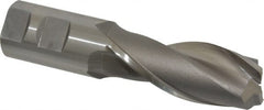 OSG - 1-1/4", 3" LOC, 1-1/4" Shank Diam, 5-1/2" OAL, 2 Flute, Cobalt Square End Mill - Eagle Tool & Supply