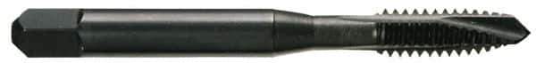 OSG - #6-32 UNC, 2 Flute, Oxide Finish, Vanadium High Speed Steel Spiral Point Tap - Plug Chamfer, Right Hand Thread, 2" OAL, 11/16" Thread Length, 0.141" Shank Diam, Series 280 - Exact Industrial Supply