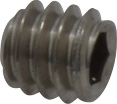 Value Collection - 1/4-20 UNC, 1/4" OAL, Flat Point Set Screw - Grade Austenitic A2 Stainless Steel, 1/8" Key - Eagle Tool & Supply