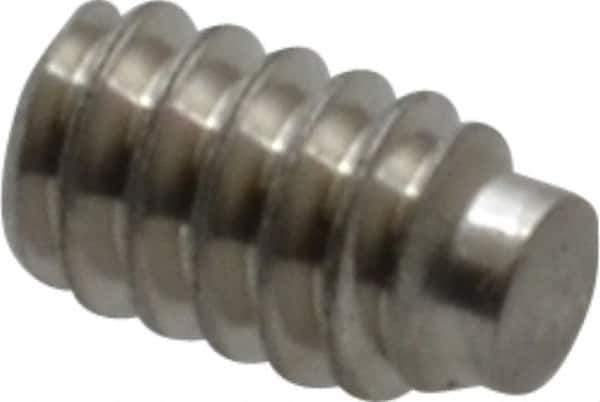Value Collection - #4-40 UNC, 3/16" OAL, Half Dog Point Set Screw - Grade Austenitic A2 Stainless Steel, 0.05" Key - Eagle Tool & Supply