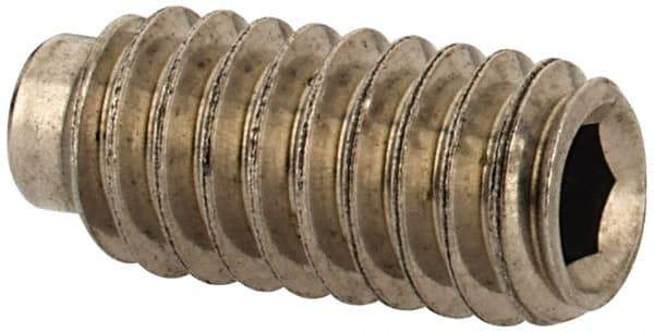 Value Collection - #8-32 UNC, 3/8" OAL, Half Dog Point Set Screw - Grade Austenitic A2 Stainless Steel, 5/64" Key - Eagle Tool & Supply