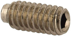 Value Collection - #8-32 UNC, 3/8" OAL, Half Dog Point Set Screw - Grade Austenitic A2 Stainless Steel, 5/64" Key - Eagle Tool & Supply
