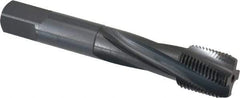 OSG - 3/4-16 UNF 4 Flute 3B Modified Bottoming Spiral Flute Tap - Powdered Metal, Oxide Finish, 4-1/4" OAL, Right Hand Flute, Right Hand Thread, H3, Series 313 - Eagle Tool & Supply