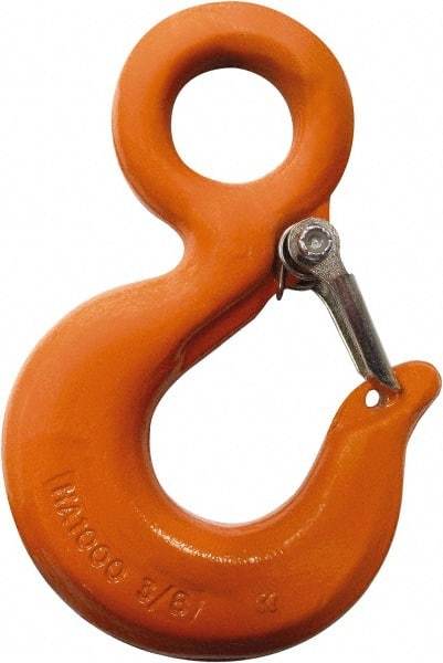 CM - Chain Grade 100, 2,700 Lbs. Load Limit Eye Rigging Hook with Latch - 0.93 Inch Hook Throat, 3.13 Inch Reach, 3/4 Inch Eye Inside Diameter, 0.21875 Inch Chain Diameter, 4.37 Inch Overall Length, 0.38 Inch Eye Thickness - Eagle Tool & Supply