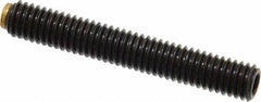 J.W. Winco - M6x1.00 Metric Coarse, 40mm Length of Thread, Soft Tip Point Set Screw - Grade 5.8 Steel, 3mm Key - Eagle Tool & Supply