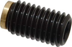 J.W. Winco - M12x1.75 Metric Coarse, 20mm Length of Thread, Soft Tip Point Set Screw - Grade 5.8 Steel, 6mm Key - Eagle Tool & Supply