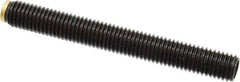 J.W. Winco - M12x1.75 Metric Coarse, 100mm Length of Thread, Soft Tip Point Set Screw - Grade 5.8 Steel, 6mm Key - Eagle Tool & Supply