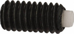 J.W. Winco - M4x0.70 Metric Coarse, 8mm Length of Thread, Soft Tip Point Set Screw - Grade 5.8 Steel, 2mm Key - Eagle Tool & Supply
