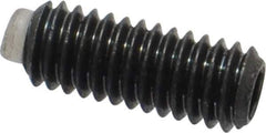 J.W. Winco - M4x0.70 Metric Coarse, 10mm Length of Thread, Soft Tip Point Set Screw - Grade 5.8 Steel, 2mm Key - Eagle Tool & Supply