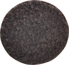 Tru-Maxx - 1" Disc Diam, 36 Grit, Aluminum Oxide Quick Change Disc - Type R Attaching System, Coated, Brown, Very Coarse Grade, 30,000 RPM - Eagle Tool & Supply