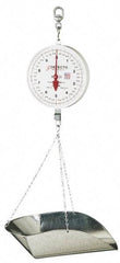 Detecto - 40 Lb. Capacity, 8 Inch Dial Hanging Scale with Galvanized Scoop - 20 Lbs. Graduation, 2 Revolutions - Eagle Tool & Supply