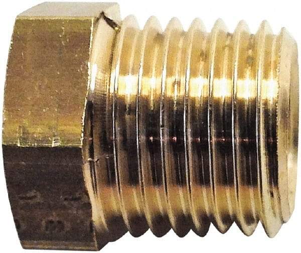 Legris - 1/2 Male Thread x 1/8 Female Thread, Brass Industrial Pipe Hex Bushing - MBSPT x FBSPP, 3,626 psi - Eagle Tool & Supply
