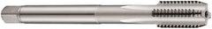 DORMER - 1/2-13 UNC 2B 3 Flute Bright Finish Cobalt Straight Flute Machine Tap - Bottoming, Right Hand Thread, 110mm OAL, 23mm Thread Length, Oversize - Exact Industrial Supply