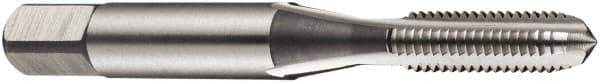 DORMER - 1/4-20 BSW, 3 Flute, Bottoming, Plug & Taper, Bright Finish, High Speed Steel Tap Set - Right Hand Cut, 56mm OAL, Medium Class of Fit, Series E115 - Eagle Tool & Supply