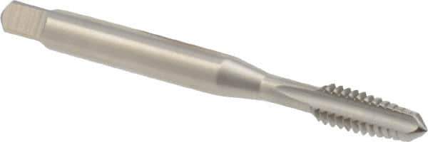 DORMER - #10-24 UNC 2B 3 Flute Bright Finish High Speed Steel Straight Flute Machine Tap - Taper, Right Hand Thread, 58mm OAL, 11mm Thread Length, Oversize - Eagle Tool & Supply