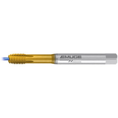 ‎M 6-6HX IF1-H-SN-IKZ-TIN-T26 - Exact Industrial Supply