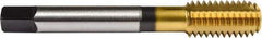 Union Butterfield - #6-32 UNC 2B/3B H5 Thread Limit Bottoming Thread Forming Tap - Powdered Metal High Speed Steel, TiN Finish, 2" OAL, 3/8" Thread Length, Right Hand Thread, Series 1641 - Eagle Tool & Supply