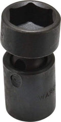 Proto - 3/8" Drive 19mm Standard Universal Impact Socket - 6 Points, 2-3/32" OAL - Eagle Tool & Supply