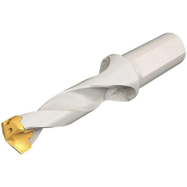 Iscar - 15 to 15.9mm Diam, 3xD, 45mm Max Depth, 20mm Shank Diam, 117.5mm OAL, Replaceable Tip Drill - IDK, IDM, IDN, IDP Insert, 15 Seat Size, DSM Toolholder, Series ChamDrillJet - Eagle Tool & Supply