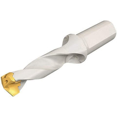 Iscar - 15 to 15.9mm Diam, 3xD, 45mm Max Depth, 20mm Shank Diam, 117.5mm OAL, Replaceable Tip Drill - IDK, IDM, IDN, IDP Insert, 15 Seat Size, DSM Toolholder, Series ChamDrillJet - Eagle Tool & Supply