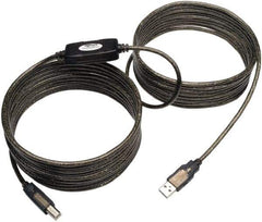 Tripp-Lite - 25' Long, USB A/B Computer Cable - Beige, Male x Male - Eagle Tool & Supply