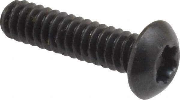 Camcar - #10-24 UNC Torx Plus Drive, Button Screw - Alloy Steel, Black Oxide Finish, Fully Threaded, 3/4" Length Under Head - Eagle Tool & Supply