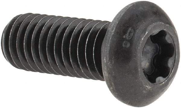 Camcar - 3/8-16 UNC Torx Plus Drive, Button Screw - Alloy Steel, Black Oxide Finish, Fully Threaded, 1" Length Under Head - Eagle Tool & Supply