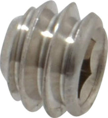 Value Collection - 1/4-20 UNC, 3/16" OAL, Cup Point Set Screw - Grade 18-8 Stainless Steel, 1/8" Key - Eagle Tool & Supply