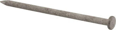 Value Collection - 16D, 8 Gauge, 3-1/2" OAL Common Nails - Ring Shank, Grade 2 Steel, Galvanized Finish - Eagle Tool & Supply