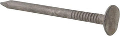 Value Collection - 11 Gauge, 1-3/4" OAL Roofing Nails - Ring Shank, Grade 2 Steel, Galvanized Finish - Eagle Tool & Supply