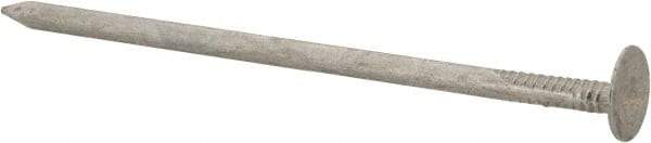 Value Collection - 11 Gauge, 3" OAL Roofing Nails - Ring Shank, Grade 2 Steel, Galvanized Finish - Eagle Tool & Supply