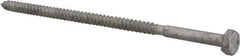 Value Collection - 1/4" Screw, 6" Length Under Head, Steel, Hex Head Lag Screw - Hot Dipped Galvanized, AISI 1006, ASME B18.2.1 Fastner, Grade 1006-1022 - Eagle Tool & Supply