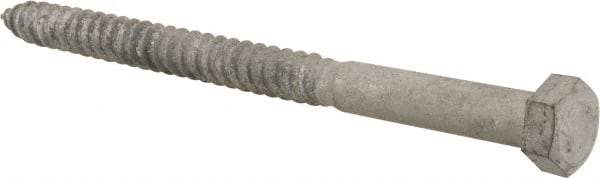 Value Collection - 1/2" Screw, 7" Length Under Head, Steel, Hex Head Lag Screw - Hot Dipped Galvanized, AISI 1006, ASME B18.2.1 Fastner, Grade 1006-1022 - Eagle Tool & Supply
