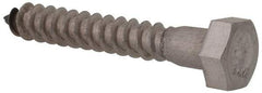 Value Collection - 5/16" Screw, 2" Length Under Head, Stainless Steel, Hex Head Lag Screw - Grade 18-8, Uncoated - Eagle Tool & Supply