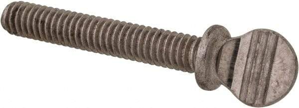 Value Collection - #8-32 Oval Shoulder Grade 18-8 Stainless Steel Thumb Screw - 1" OAL, 0.38" Head Height - Eagle Tool & Supply